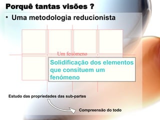 Porquê tantas visões ? Uma metodologia reducionista Estudo das propriedades das sub-partes Compreensão do todo Um fenómeno Solidificação dos elementos que consituem um fenómeno 
