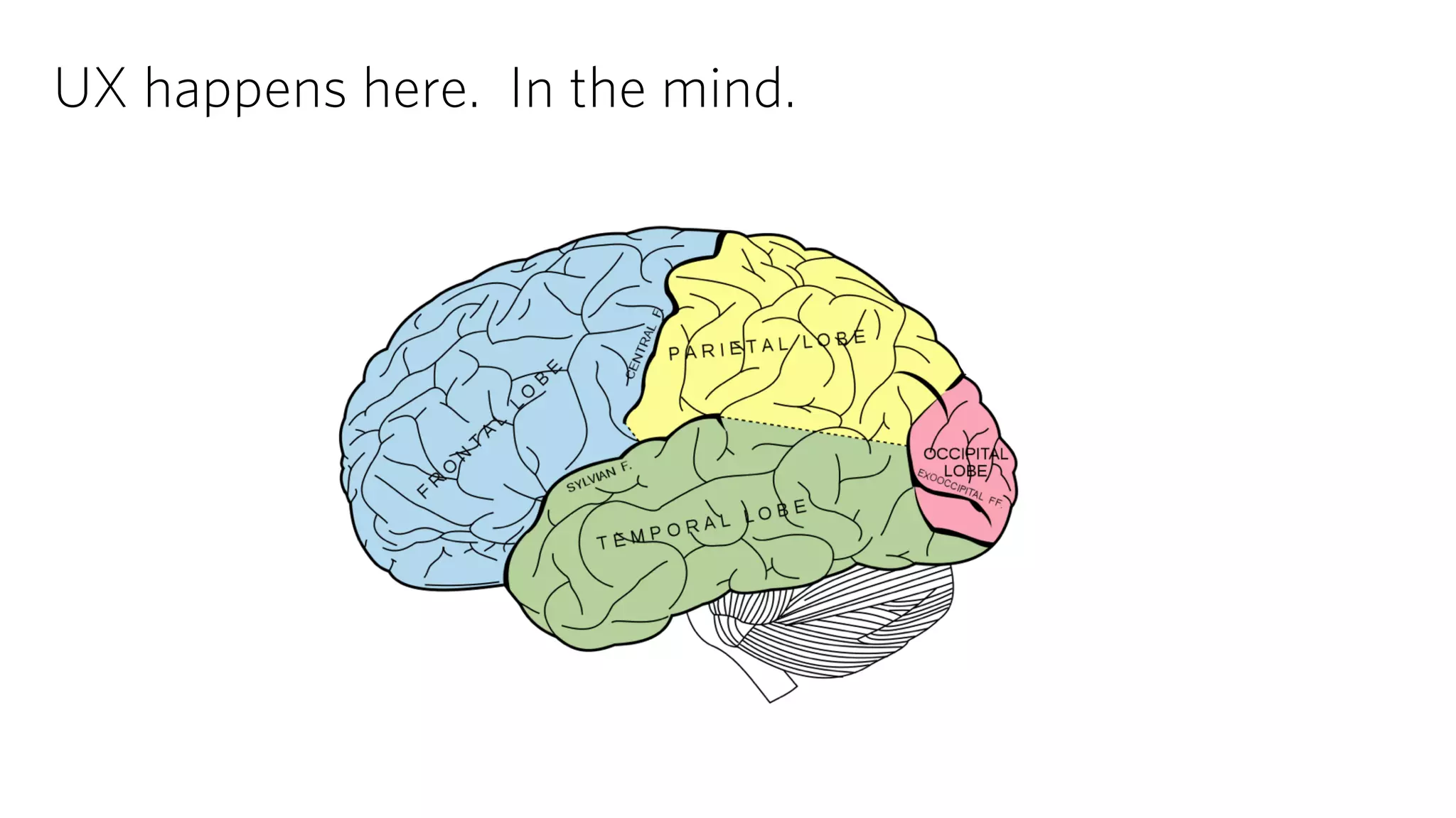 UX happens here. In the mind. 
 