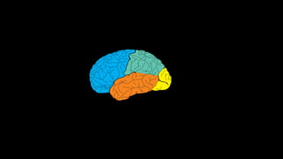 Wayﬁnding
Vision /
Attention
Memory
 