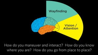 Language Wayﬁnding
Vision /
Attention
MemoryEmotion
 