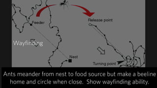 Captured
‣ Understanding of virtual space.
‣ How interface space is navigated.
‣ What surprises and delights.
Design Impact
‣ Timing of feedback with
micro interactions critical.
‣ Discoverability of invisible
interface (voice) challenge.
 