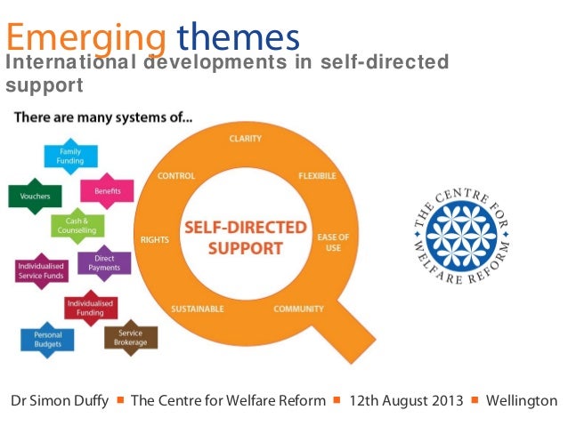 emerging themes in self directed support clarity themes