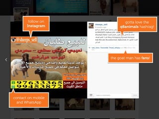 follow on
Instagram
contact on mobile
and WhatsApp
the goat man has fans!
gotta love the
q8animals hashtag!
 