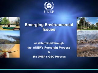 as determined through
the UNEP’s Foresight Process
&
the UNEP’s GEO Process
Emerging Environmental
Issues
 