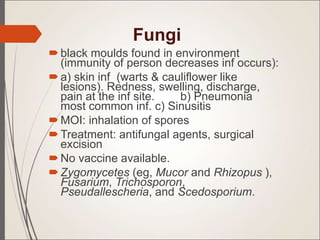Fungi
black moulds found in environment
(immunity of person decreases inf occurs):
a) skin inf (warts & cauliflower like
lesions). Redness, swelling, discharge,
pain at the inf site. b) Pneumonia
most common inf. c) Sinusitis
MOI: inhalation of spores
Treatment: antifungal agents, surgical
excision
No vaccine available.
Zygomycetes (eg, Mucor and Rhizopus ),
Fusarium, Trichosporon,
Pseudallescheria, and Scedosporium.
 