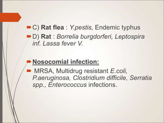 C) Rat flea : Y.pestis, Endemic typhus
D) Rat : Borrelia burgdorferi, Leptospira
inf. Lassa fever V.
Nosocomial infection:
 MRSA, Multidrug resistant E.coli,
P.aeruginosa, Clostridium difficile, Serratia
spp., Enterococcus infections.
 