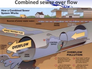 Page 12
Combined sewer over flow
 