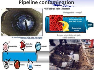 Page 15
Pipeline contamination
 
