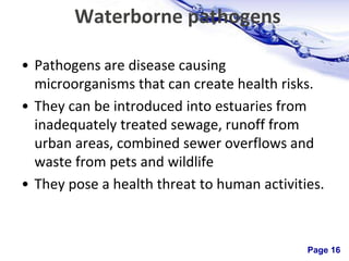 Page 16
Waterborne pathogens
• Pathogens are disease causing
microorganisms that can create health risks.
• They can be introduced into estuaries from
inadequately treated sewage, runoff from
urban areas, combined sewer overflows and
waste from pets and wildlife
• They pose a health threat to human activities.
 