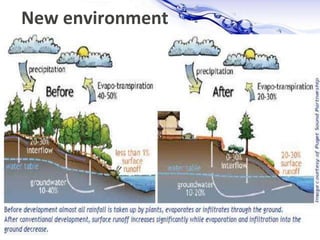Page 19
New environment
 