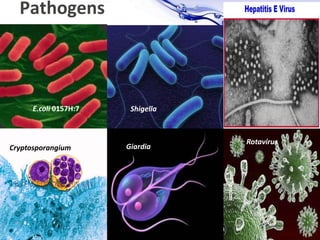Page 8
Pathogens
E.coli 0157H:7 Shigella
Cryptosporangium Giardia
Rotavirus
 