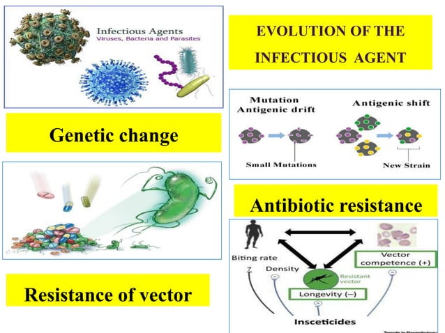 Emerging and re emerging diseases | PPTX | Cold and Flu | Diseases and ...