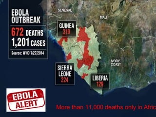 More than 11,000 deaths only in Afric
 