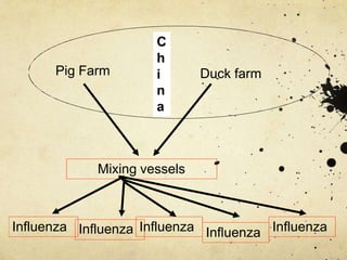 Pig Farm Duck farm
C
h
i
n
a
Mixing vessels
Influenza Influenza Influenza Influenza Influenza
 