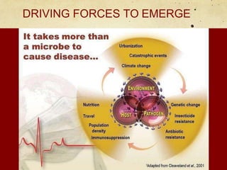 DRIVING FORCES TO EMERGE
 