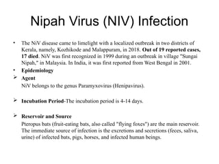 Nipah Virus (NIV) Infection
• The NiV disease came to limelight with a localized outbreak in two districts of
Kerala, namely, Kozhikode and Malappuram, in 2018. Out of 19 reported cases,
17 died. NiV was first recognized in 1999 during an outbreak in village "Sungai
Nipah," in Malaysia. In India, it was first reported from West Bengal in 2001.
• Epidemiology
 Agent
NiV belongs to the genus Paramyxovirus (Henipavirus).
 Incubation Period-The incubation period is 4-14 days.
 Reservoir and Source
Pteropus bats (fruit-eating bats, also called "flying foxes") are the main reservoir.
The immediate source of infection is the excretions and secretions (feces, saliva,
urine) of infected bats, pigs, horses, and infected human beings.
 