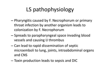 LS pathophysiology
– Pharyngitis caused by F. Necrophorum or primary
throat infection by another organism leads to
colonization by F. Necrophorum
– Spreads to parapharyngeal space invading blood
vessels and causing IJ thrombus
– Can lead to rapid dissemination of septic
microemboli to lung, joints, intraabdominal organs
and CNS
– Toxin production leads to sepsis and DIC
 