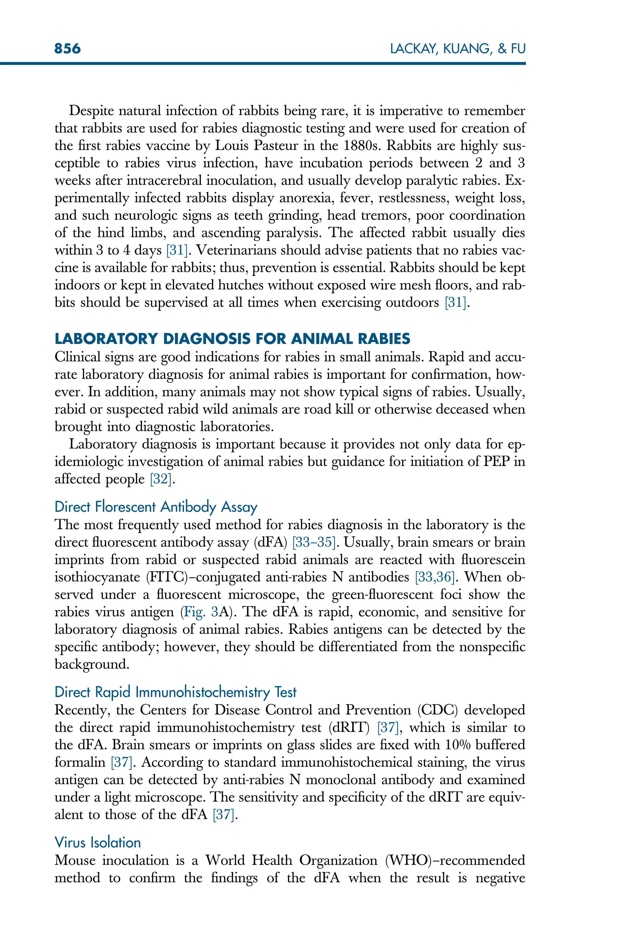 Despite natural infection of rabbits being rare, it is imperative to remember
that rabbits are used for rabies diagnostic testing and were used for creation of
the first rabies vaccine by Louis Pasteur in the 1880s. Rabbits are highly sus-
ceptible to rabies virus infection, have incubation periods between 2 and 3
weeks after intracerebral inoculation, and usually develop paralytic rabies. Ex-
perimentally infected rabbits display anorexia, fever, restlessness, weight loss,
and such neurologic signs as teeth grinding, head tremors, poor coordination
of the hind limbs, and ascending paralysis. The affected rabbit usually dies
within 3 to 4 days [31]. Veterinarians should advise patients that no rabies vac-
cine is available for rabbits; thus, prevention is essential. Rabbits should be kept
indoors or kept in elevated hutches without exposed wire mesh floors, and rab-
bits should be supervised at all times when exercising outdoors [31].
LABORATORY DIAGNOSIS FOR ANIMAL RABIES
Clinical signs are good indications for rabies in small animals. Rapid and accu-
rate laboratory diagnosis for animal rabies is important for confirmation, how-
ever. In addition, many animals may not show typical signs of rabies. Usually,
rabid or suspected rabid wild animals are road kill or otherwise deceased when
brought into diagnostic laboratories.
Laboratory diagnosis is important because it provides not only data for ep-
idemiologic investigation of animal rabies but guidance for initiation of PEP in
affected people [32].
Direct Florescent Antibody Assay
The most frequently used method for rabies diagnosis in the laboratory is the
direct fluorescent antibody assay (dFA) [33–35]. Usually, brain smears or brain
imprints from rabid or suspected rabid animals are reacted with fluorescein
isothiocyanate (FITC)–conjugated anti-rabies N antibodies [33,36]. When ob-
served under a fluorescent microscope, the green-fluorescent foci show the
rabies virus antigen (Fig. 3A). The dFA is rapid, economic, and sensitive for
laboratory diagnosis of animal rabies. Rabies antigens can be detected by the
specific antibody; however, they should be differentiated from the nonspecific
background.
Direct Rapid Immunohistochemistry Test
Recently, the Centers for Disease Control and Prevention (CDC) developed
the direct rapid immunohistochemistry test (dRIT) [37], which is similar to
the dFA. Brain smears or imprints on glass slides are fixed with 10% buffered
formalin [37]. According to standard immunohistochemical staining, the virus
antigen can be detected by anti-rabies N monoclonal antibody and examined
under a light microscope. The sensitivity and specificity of the dRIT are equiv-
alent to those of the dFA [37].
Virus Isolation
Mouse inoculation is a World Health Organization (WHO)–recommended
method to confirm the findings of the dFA when the result is negative
856 LACKAY, KUANG,  FU
 