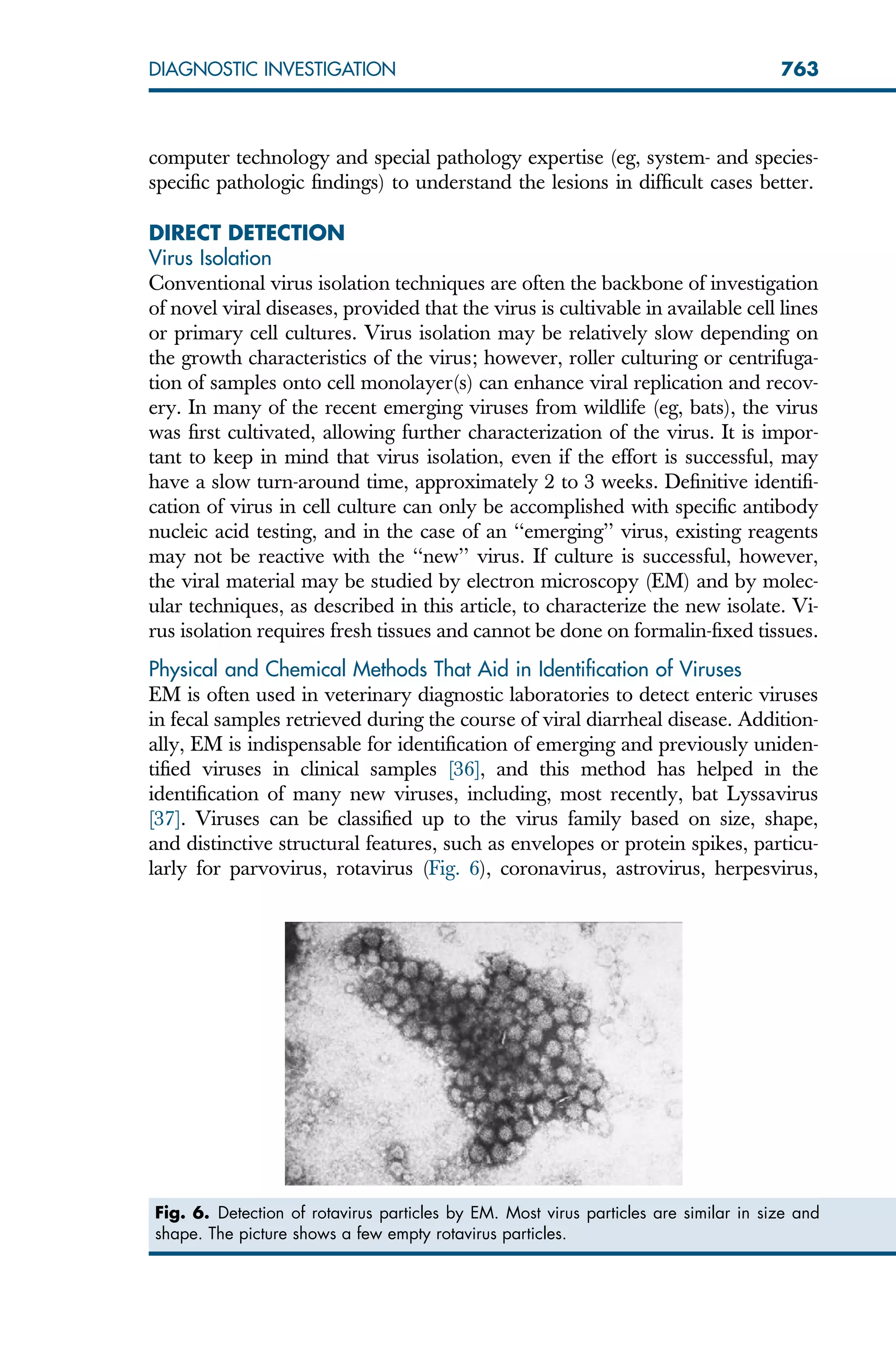 computer technology and special pathology expertise (eg, system- and species-
specific pathologic findings) to understand the lesions in difficult cases better.
DIRECT DETECTION
Virus Isolation
Conventional virus isolation techniques are often the backbone of investigation
of novel viral diseases, provided that the virus is cultivable in available cell lines
or primary cell cultures. Virus isolation may be relatively slow depending on
the growth characteristics of the virus; however, roller culturing or centrifuga-
tion of samples onto cell monolayer(s) can enhance viral replication and recov-
ery. In many of the recent emerging viruses from wildlife (eg, bats), the virus
was first cultivated, allowing further characterization of the virus. It is impor-
tant to keep in mind that virus isolation, even if the effort is successful, may
have a slow turn-around time, approximately 2 to 3 weeks. Definitive identifi-
cation of virus in cell culture can only be accomplished with specific antibody
nucleic acid testing, and in the case of an ‘‘emerging’’ virus, existing reagents
may not be reactive with the ‘‘new’’ virus. If culture is successful, however,
the viral material may be studied by electron microscopy (EM) and by molec-
ular techniques, as described in this article, to characterize the new isolate. Vi-
rus isolation requires fresh tissues and cannot be done on formalin-fixed tissues.
Physical and Chemical Methods That Aid in Identification of Viruses
EM is often used in veterinary diagnostic laboratories to detect enteric viruses
in fecal samples retrieved during the course of viral diarrheal disease. Addition-
ally, EM is indispensable for identification of emerging and previously uniden-
tified viruses in clinical samples [36], and this method has helped in the
identification of many new viruses, including, most recently, bat Lyssavirus
[37]. Viruses can be classified up to the virus family based on size, shape,
and distinctive structural features, such as envelopes or protein spikes, particu-
larly for parvovirus, rotavirus (Fig. 6), coronavirus, astrovirus, herpesvirus,
Fig. 6. Detection of rotavirus particles by EM. Most virus particles are similar in size and
shape. The picture shows a few empty rotavirus particles.
763
DIAGNOSTIC INVESTIGATION
 