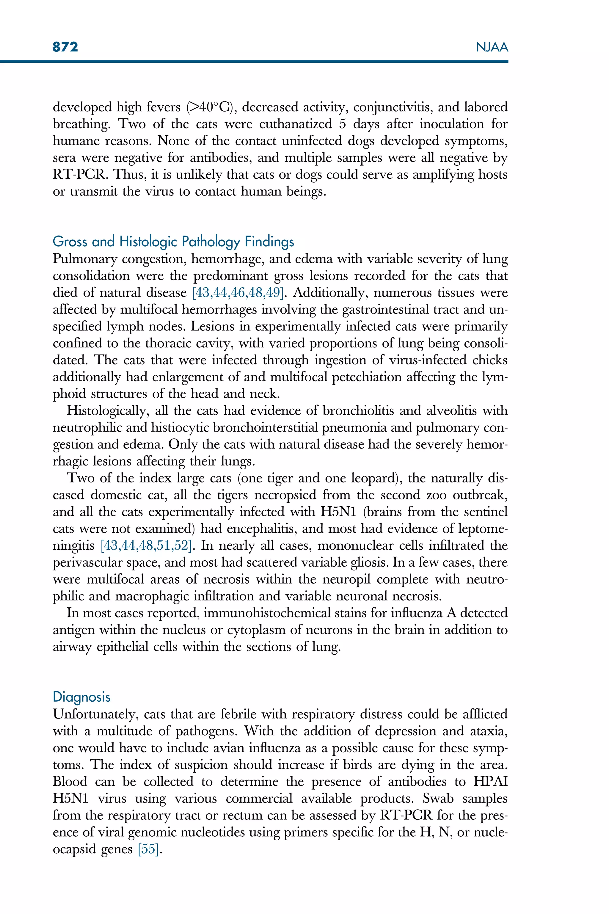 developed high fevers (40
C), decreased activity, conjunctivitis, and labored
breathing. Two of the cats were euthanatized 5 days after inoculation for
humane reasons. None of the contact uninfected dogs developed symptoms,
sera were negative for antibodies, and multiple samples were all negative by
RT-PCR. Thus, it is unlikely that cats or dogs could serve as amplifying hosts
or transmit the virus to contact human beings.
Gross and Histologic Pathology Findings
Pulmonary congestion, hemorrhage, and edema with variable severity of lung
consolidation were the predominant gross lesions recorded for the cats that
died of natural disease [43,44,46,48,49]. Additionally, numerous tissues were
affected by multifocal hemorrhages involving the gastrointestinal tract and un-
specified lymph nodes. Lesions in experimentally infected cats were primarily
confined to the thoracic cavity, with varied proportions of lung being consoli-
dated. The cats that were infected through ingestion of virus-infected chicks
additionally had enlargement of and multifocal petechiation affecting the lym-
phoid structures of the head and neck.
Histologically, all the cats had evidence of bronchiolitis and alveolitis with
neutrophilic and histiocytic bronchointerstitial pneumonia and pulmonary con-
gestion and edema. Only the cats with natural disease had the severely hemor-
rhagic lesions affecting their lungs.
Two of the index large cats (one tiger and one leopard), the naturally dis-
eased domestic cat, all the tigers necropsied from the second zoo outbreak,
and all the cats experimentally infected with H5N1 (brains from the sentinel
cats were not examined) had encephalitis, and most had evidence of leptome-
ningitis [43,44,48,51,52]. In nearly all cases, mononuclear cells infiltrated the
perivascular space, and most had scattered variable gliosis. In a few cases, there
were multifocal areas of necrosis within the neuropil complete with neutro-
philic and macrophagic infiltration and variable neuronal necrosis.
In most cases reported, immunohistochemical stains for influenza A detected
antigen within the nucleus or cytoplasm of neurons in the brain in addition to
airway epithelial cells within the sections of lung.
Diagnosis
Unfortunately, cats that are febrile with respiratory distress could be afflicted
with a multitude of pathogens. With the addition of depression and ataxia,
one would have to include avian influenza as a possible cause for these symp-
toms. The index of suspicion should increase if birds are dying in the area.
Blood can be collected to determine the presence of antibodies to HPAI
H5N1 virus using various commercial available products. Swab samples
from the respiratory tract or rectum can be assessed by RT-PCR for the pres-
ence of viral genomic nucleotides using primers specific for the H, N, or nucle-
ocapsid genes [55].
872 NJAA
 