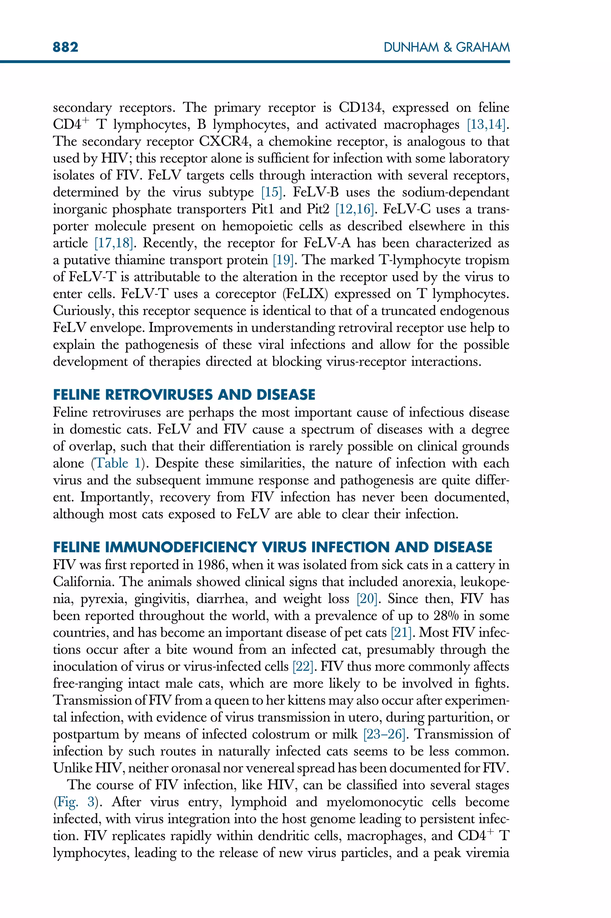 secondary receptors. The primary receptor is CD134, expressed on feline
CD4þ
T lymphocytes, B lymphocytes, and activated macrophages [13,14].
The secondary receptor CXCR4, a chemokine receptor, is analogous to that
used by HIV; this receptor alone is sufficient for infection with some laboratory
isolates of FIV. FeLV targets cells through interaction with several receptors,
determined by the virus subtype [15]. FeLV-B uses the sodium-dependant
inorganic phosphate transporters Pit1 and Pit2 [12,16]. FeLV-C uses a trans-
porter molecule present on hemopoietic cells as described elsewhere in this
article [17,18]. Recently, the receptor for FeLV-A has been characterized as
a putative thiamine transport protein [19]. The marked T-lymphocyte tropism
of FeLV-T is attributable to the alteration in the receptor used by the virus to
enter cells. FeLV-T uses a coreceptor (FeLIX) expressed on T lymphocytes.
Curiously, this receptor sequence is identical to that of a truncated endogenous
FeLV envelope. Improvements in understanding retroviral receptor use help to
explain the pathogenesis of these viral infections and allow for the possible
development of therapies directed at blocking virus-receptor interactions.
FELINE RETROVIRUSES AND DISEASE
Feline retroviruses are perhaps the most important cause of infectious disease
in domestic cats. FeLV and FIV cause a spectrum of diseases with a degree
of overlap, such that their differentiation is rarely possible on clinical grounds
alone (Table 1). Despite these similarities, the nature of infection with each
virus and the subsequent immune response and pathogenesis are quite differ-
ent. Importantly, recovery from FIV infection has never been documented,
although most cats exposed to FeLV are able to clear their infection.
FELINE IMMUNODEFICIENCY VIRUS INFECTION AND DISEASE
FIV was first reported in 1986, when it was isolated from sick cats in a cattery in
California. The animals showed clinical signs that included anorexia, leukope-
nia, pyrexia, gingivitis, diarrhea, and weight loss [20]. Since then, FIV has
been reported throughout the world, with a prevalence of up to 28% in some
countries, and has become an important disease of pet cats [21]. Most FIV infec-
tions occur after a bite wound from an infected cat, presumably through the
inoculation of virus or virus-infected cells [22]. FIV thus more commonly affects
free-ranging intact male cats, which are more likely to be involved in fights.
Transmission of FIV from a queen to her kittens may also occur after experimen-
tal infection, with evidence of virus transmission in utero, during parturition, or
postpartum by means of infected colostrum or milk [23–26]. Transmission of
infection by such routes in naturally infected cats seems to be less common.
Unlike HIV, neither oronasal nor venereal spread has been documented for FIV.
The course of FIV infection, like HIV, can be classified into several stages
(Fig. 3). After virus entry, lymphoid and myelomonocytic cells become
infected, with virus integration into the host genome leading to persistent infec-
tion. FIV replicates rapidly within dendritic cells, macrophages, and CD4þ
T
lymphocytes, leading to the release of new virus particles, and a peak viremia
882 DUNHAM  GRAHAM
 