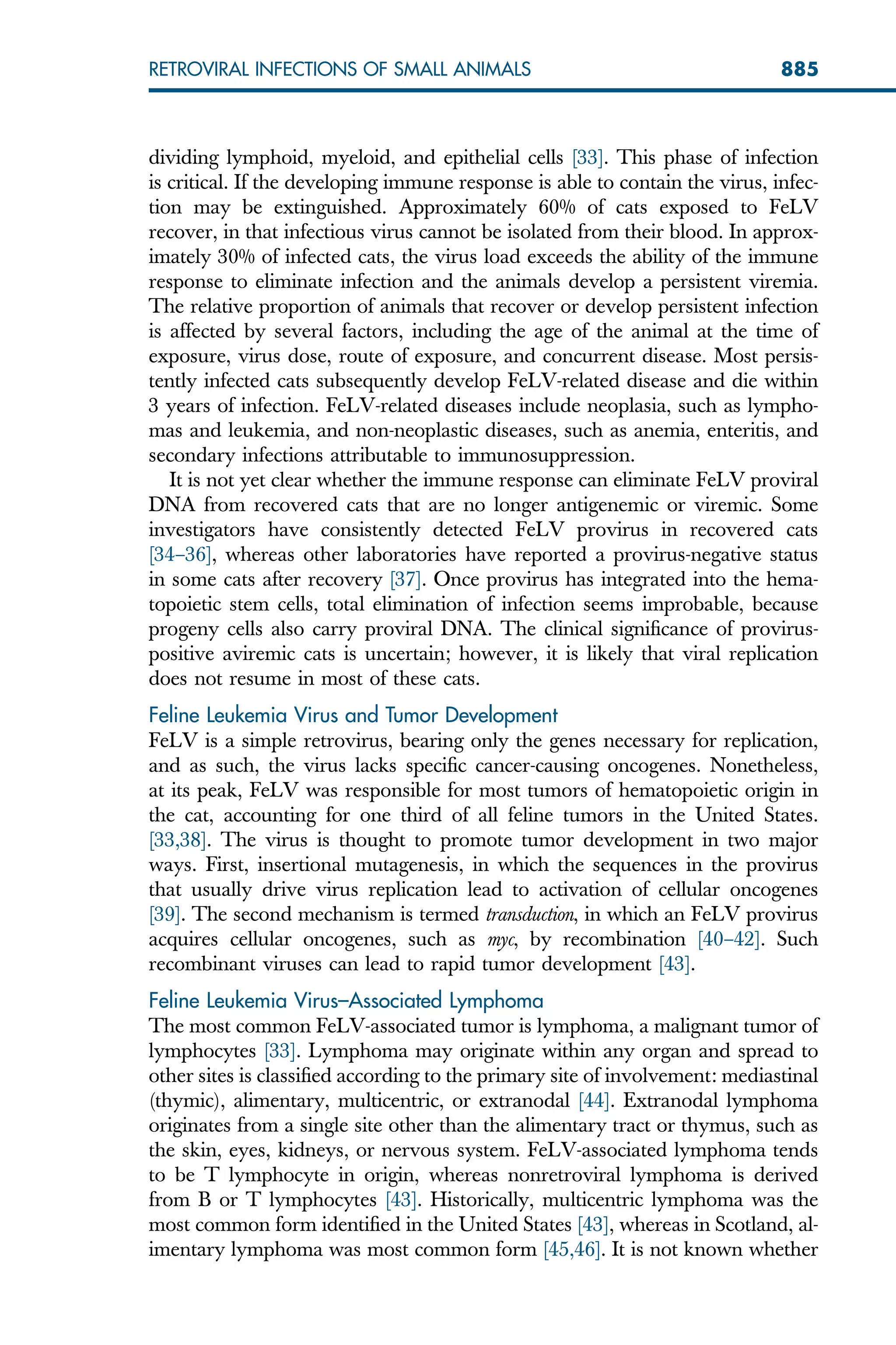 dividing lymphoid, myeloid, and epithelial cells [33]. This phase of infection
is critical. If the developing immune response is able to contain the virus, infec-
tion may be extinguished. Approximately 60% of cats exposed to FeLV
recover, in that infectious virus cannot be isolated from their blood. In approx-
imately 30% of infected cats, the virus load exceeds the ability of the immune
response to eliminate infection and the animals develop a persistent viremia.
The relative proportion of animals that recover or develop persistent infection
is affected by several factors, including the age of the animal at the time of
exposure, virus dose, route of exposure, and concurrent disease. Most persis-
tently infected cats subsequently develop FeLV-related disease and die within
3 years of infection. FeLV-related diseases include neoplasia, such as lympho-
mas and leukemia, and non-neoplastic diseases, such as anemia, enteritis, and
secondary infections attributable to immunosuppression.
It is not yet clear whether the immune response can eliminate FeLV proviral
DNA from recovered cats that are no longer antigenemic or viremic. Some
investigators have consistently detected FeLV provirus in recovered cats
[34–36], whereas other laboratories have reported a provirus-negative status
in some cats after recovery [37]. Once provirus has integrated into the hema-
topoietic stem cells, total elimination of infection seems improbable, because
progeny cells also carry proviral DNA. The clinical significance of provirus-
positive aviremic cats is uncertain; however, it is likely that viral replication
does not resume in most of these cats.
Feline Leukemia Virus and Tumor Development
FeLV is a simple retrovirus, bearing only the genes necessary for replication,
and as such, the virus lacks specific cancer-causing oncogenes. Nonetheless,
at its peak, FeLV was responsible for most tumors of hematopoietic origin in
the cat, accounting for one third of all feline tumors in the United States.
[33,38]. The virus is thought to promote tumor development in two major
ways. First, insertional mutagenesis, in which the sequences in the provirus
that usually drive virus replication lead to activation of cellular oncogenes
[39]. The second mechanism is termed transduction, in which an FeLV provirus
acquires cellular oncogenes, such as myc, by recombination [40–42]. Such
recombinant viruses can lead to rapid tumor development [43].
Feline Leukemia Virus–Associated Lymphoma
The most common FeLV-associated tumor is lymphoma, a malignant tumor of
lymphocytes [33]. Lymphoma may originate within any organ and spread to
other sites is classified according to the primary site of involvement: mediastinal
(thymic), alimentary, multicentric, or extranodal [44]. Extranodal lymphoma
originates from a single site other than the alimentary tract or thymus, such as
the skin, eyes, kidneys, or nervous system. FeLV-associated lymphoma tends
to be T lymphocyte in origin, whereas nonretroviral lymphoma is derived
from B or T lymphocytes [43]. Historically, multicentric lymphoma was the
most common form identified in the United States [43], whereas in Scotland, al-
imentary lymphoma was most common form [45,46]. It is not known whether
885
RETROVIRAL INFECTIONS OF SMALL ANIMALS
 