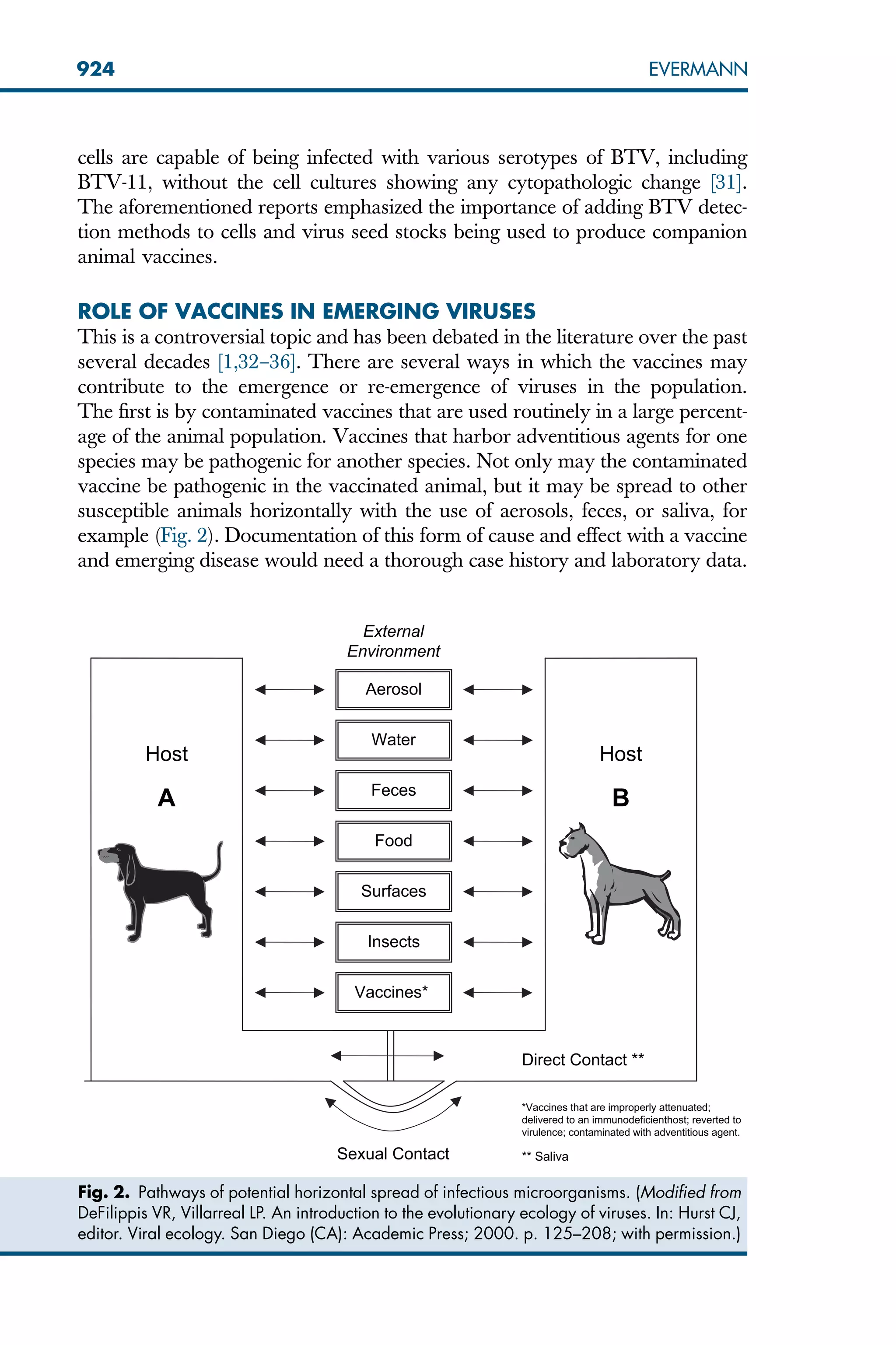 cells are capable of being infected with various serotypes of BTV, including
BTV-11, without the cell cultures showing any cytopathologic change [31].
The aforementioned reports emphasized the importance of adding BTV detec-
tion methods to cells and virus seed stocks being used to produce companion
animal vaccines.
ROLE OF VACCINES IN EMERGING VIRUSES
This is a controversial topic and has been debated in the literature over the past
several decades [1,32–36]. There are several ways in which the vaccines may
contribute to the emergence or re-emergence of viruses in the population.
The first is by contaminated vaccines that are used routinely in a large percent-
age of the animal population. Vaccines that harbor adventitious agents for one
species may be pathogenic for another species. Not only may the contaminated
vaccine be pathogenic in the vaccinated animal, but it may be spread to other
susceptible animals horizontally with the use of aerosols, feces, or saliva, for
example (Fig. 2). Documentation of this form of cause and effect with a vaccine
and emerging disease would need a thorough case history and laboratory data.
External
Environment
Aerosol
Water
Feces
Food
Surfaces
Insects
Vaccines*
Host
A
Host
B
Direct Contact **
Sexual Contact
*Vaccines that are improperly attenuated;
delivered to an immunodeficienthost; reverted to
virulence; contaminated with adventitious agent.
** Saliva
Fig. 2. Pathways of potential horizontal spread of infectious microorganisms. (Modified from
DeFilippis VR, Villarreal LP. An introduction to the evolutionary ecology of viruses. In: Hurst CJ,
editor. Viral ecology. San Diego (CA): Academic Press; 2000. p. 125–208; with permission.)
924 EVERMANN
 