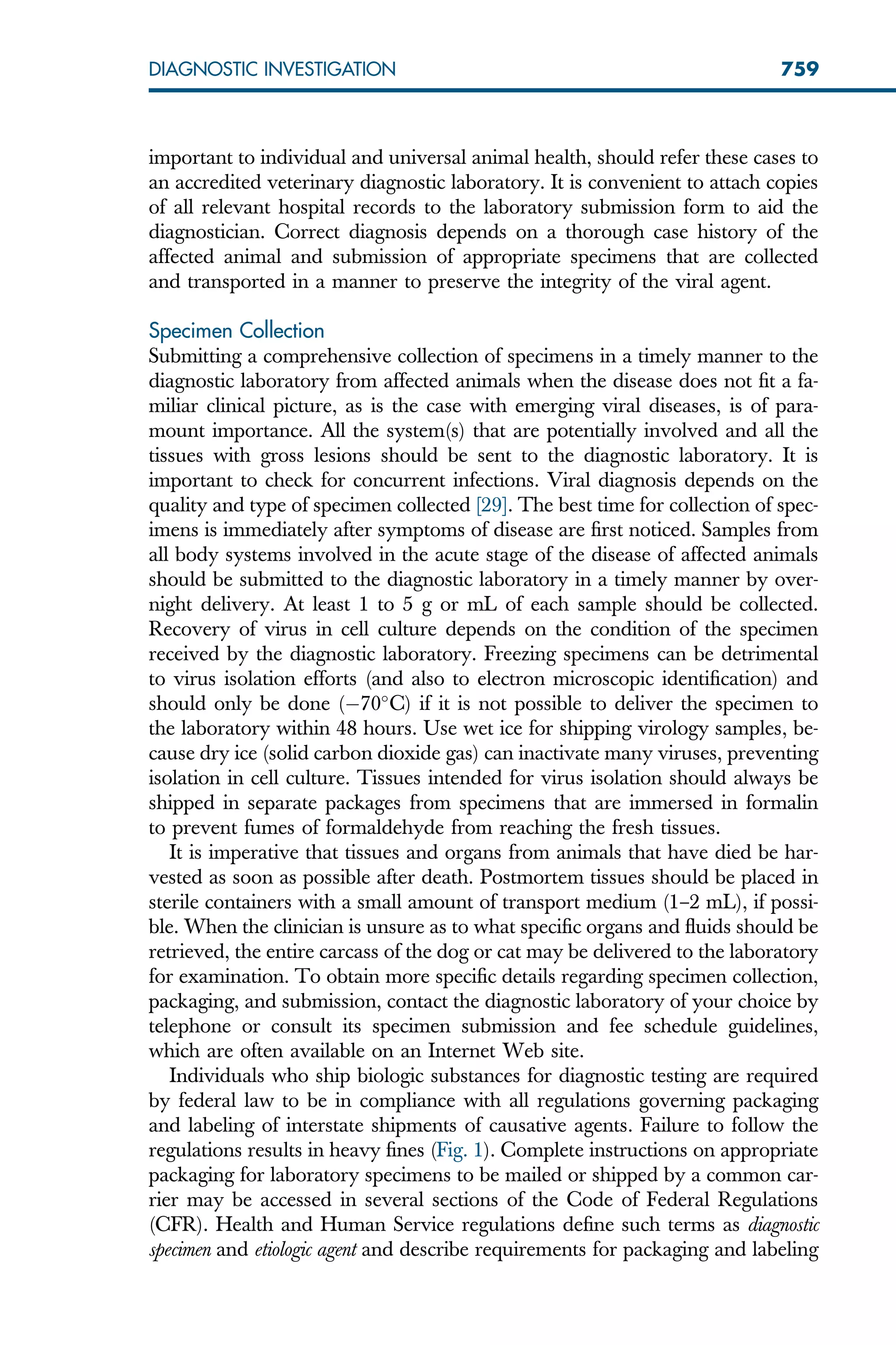 important to individual and universal animal health, should refer these cases to
an accredited veterinary diagnostic laboratory. It is convenient to attach copies
of all relevant hospital records to the laboratory submission form to aid the
diagnostician. Correct diagnosis depends on a thorough case history of the
affected animal and submission of appropriate specimens that are collected
and transported in a manner to preserve the integrity of the viral agent.
Specimen Collection
Submitting a comprehensive collection of specimens in a timely manner to the
diagnostic laboratory from affected animals when the disease does not fit a fa-
miliar clinical picture, as is the case with emerging viral diseases, is of para-
mount importance. All the system(s) that are potentially involved and all the
tissues with gross lesions should be sent to the diagnostic laboratory. It is
important to check for concurrent infections. Viral diagnosis depends on the
quality and type of specimen collected [29]. The best time for collection of spec-
imens is immediately after symptoms of disease are first noticed. Samples from
all body systems involved in the acute stage of the disease of affected animals
should be submitted to the diagnostic laboratory in a timely manner by over-
night delivery. At least 1 to 5 g or mL of each sample should be collected.
Recovery of virus in cell culture depends on the condition of the specimen
received by the diagnostic laboratory. Freezing specimens can be detrimental
to virus isolation efforts (and also to electron microscopic identification) and
should only be done (70
C) if it is not possible to deliver the specimen to
the laboratory within 48 hours. Use wet ice for shipping virology samples, be-
cause dry ice (solid carbon dioxide gas) can inactivate many viruses, preventing
isolation in cell culture. Tissues intended for virus isolation should always be
shipped in separate packages from specimens that are immersed in formalin
to prevent fumes of formaldehyde from reaching the fresh tissues.
It is imperative that tissues and organs from animals that have died be har-
vested as soon as possible after death. Postmortem tissues should be placed in
sterile containers with a small amount of transport medium (1–2 mL), if possi-
ble. When the clinician is unsure as to what specific organs and fluids should be
retrieved, the entire carcass of the dog or cat may be delivered to the laboratory
for examination. To obtain more specific details regarding specimen collection,
packaging, and submission, contact the diagnostic laboratory of your choice by
telephone or consult its specimen submission and fee schedule guidelines,
which are often available on an Internet Web site.
Individuals who ship biologic substances for diagnostic testing are required
by federal law to be in compliance with all regulations governing packaging
and labeling of interstate shipments of causative agents. Failure to follow the
regulations results in heavy fines (Fig. 1). Complete instructions on appropriate
packaging for laboratory specimens to be mailed or shipped by a common car-
rier may be accessed in several sections of the Code of Federal Regulations
(CFR). Health and Human Service regulations define such terms as diagnostic
specimen and etiologic agent and describe requirements for packaging and labeling
759
DIAGNOSTIC INVESTIGATION
 