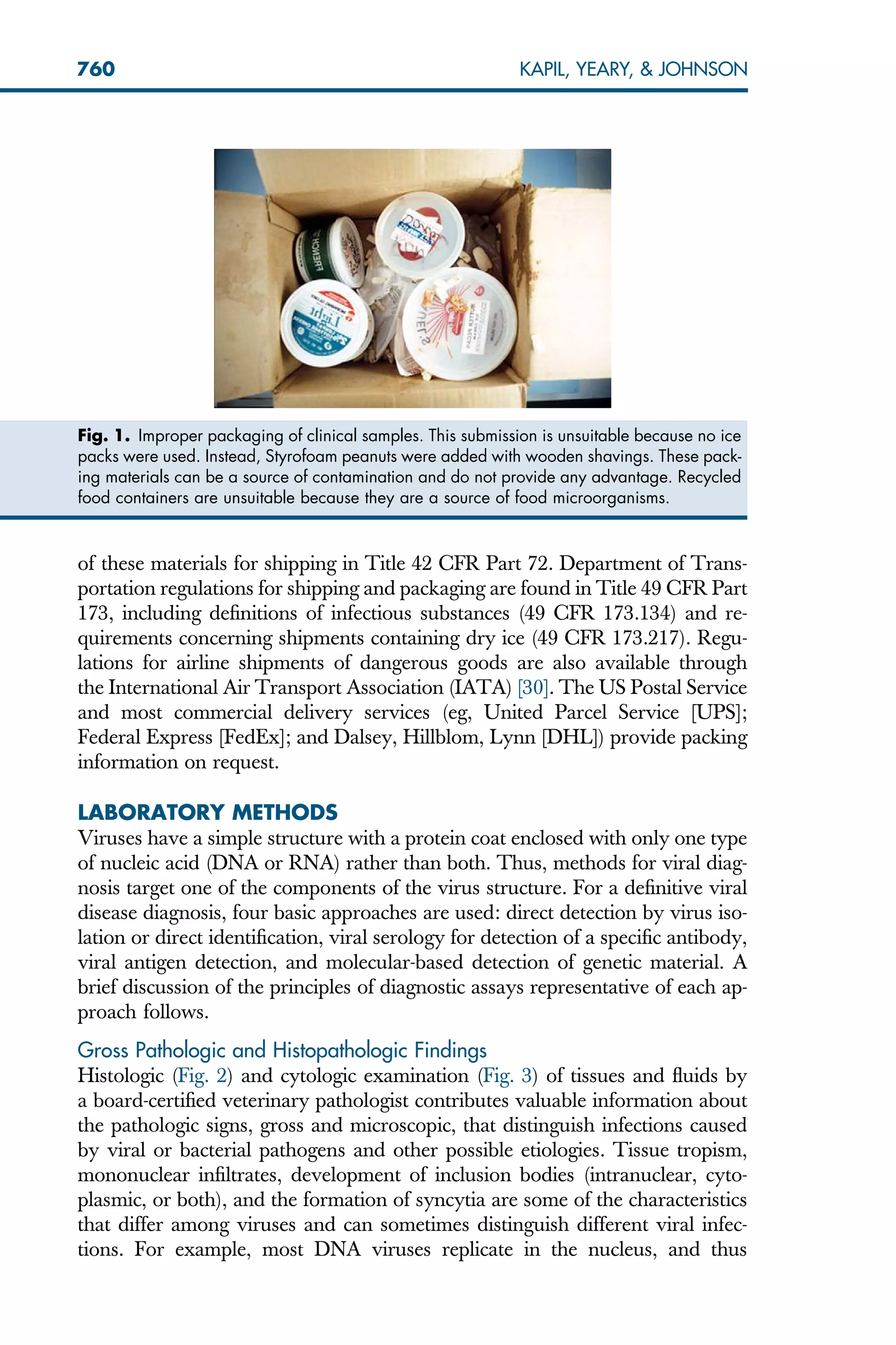 of these materials for shipping in Title 42 CFR Part 72. Department of Trans-
portation regulations for shipping and packaging are found in Title 49 CFR Part
173, including definitions of infectious substances (49 CFR 173.134) and re-
quirements concerning shipments containing dry ice (49 CFR 173.217). Regu-
lations for airline shipments of dangerous goods are also available through
the International Air Transport Association (IATA) [30]. The US Postal Service
and most commercial delivery services (eg, United Parcel Service [UPS];
Federal Express [FedEx]; and Dalsey, Hillblom, Lynn [DHL]) provide packing
information on request.
LABORATORY METHODS
Viruses have a simple structure with a protein coat enclosed with only one type
of nucleic acid (DNA or RNA) rather than both. Thus, methods for viral diag-
nosis target one of the components of the virus structure. For a definitive viral
disease diagnosis, four basic approaches are used: direct detection by virus iso-
lation or direct identification, viral serology for detection of a specific antibody,
viral antigen detection, and molecular-based detection of genetic material. A
brief discussion of the principles of diagnostic assays representative of each ap-
proach follows.
Gross Pathologic and Histopathologic Findings
Histologic (Fig. 2) and cytologic examination (Fig. 3) of tissues and fluids by
a board-certified veterinary pathologist contributes valuable information about
the pathologic signs, gross and microscopic, that distinguish infections caused
by viral or bacterial pathogens and other possible etiologies. Tissue tropism,
mononuclear infiltrates, development of inclusion bodies (intranuclear, cyto-
plasmic, or both), and the formation of syncytia are some of the characteristics
that differ among viruses and can sometimes distinguish different viral infec-
tions. For example, most DNA viruses replicate in the nucleus, and thus
Fig. 1. Improper packaging of clinical samples. This submission is unsuitable because no ice
packs were used. Instead, Styrofoam peanuts were added with wooden shavings. These pack-
ing materials can be a source of contamination and do not provide any advantage. Recycled
food containers are unsuitable because they are a source of food microorganisms.
760 KAPIL, YEARY,  JOHNSON
 