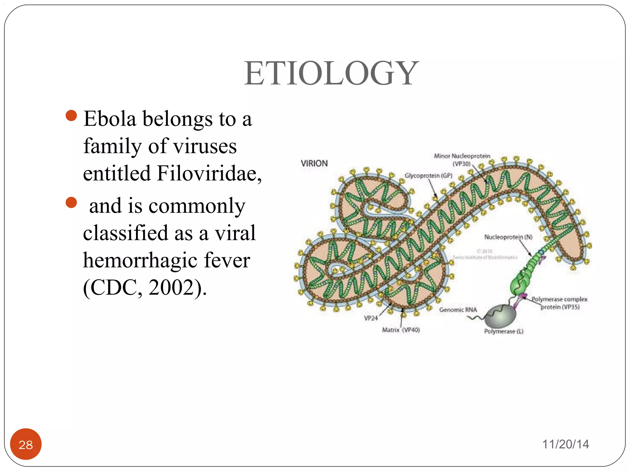 ETIOLOGY 
Ebola belongs to a 
family of viruses 
entitled Filoviridae, 
 and is commonly 
classified as a viral 
hemorrhagic fever 
(CDC, 2002). 
28 11/20/14 
 