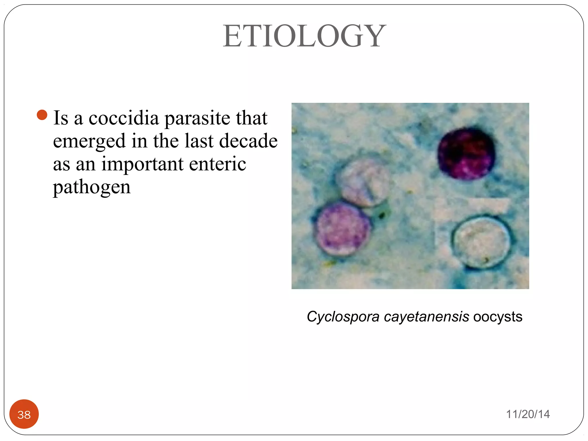 ETIOLOGY 
Is a coccidia parasite that 
emerged in the last decade 
as an important enteric 
pathogen 
Cyclospora cayetanensis oocysts 
38 11/20/14 
 
