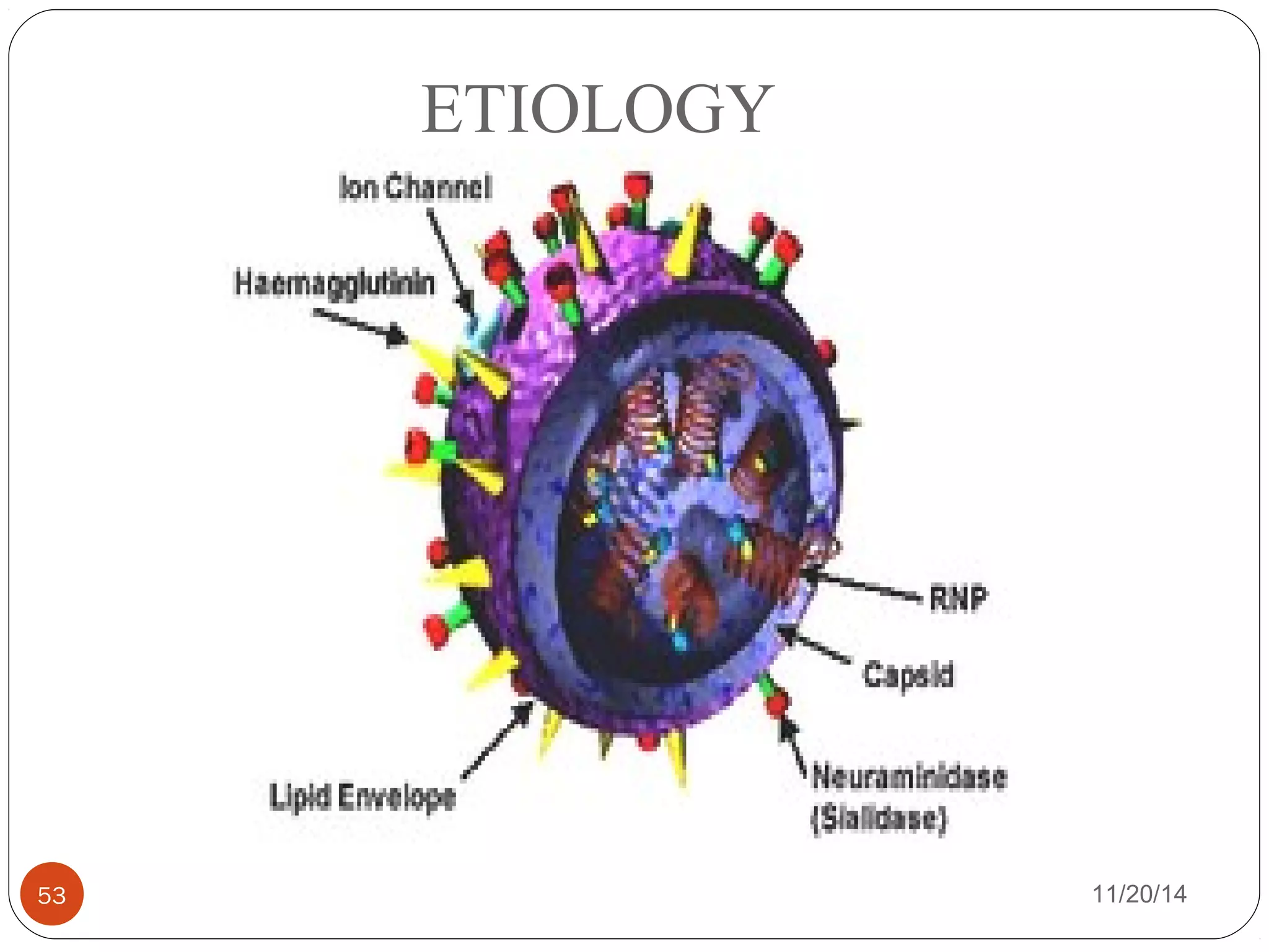 ETIOLOGY 
53 11/20/14 
 