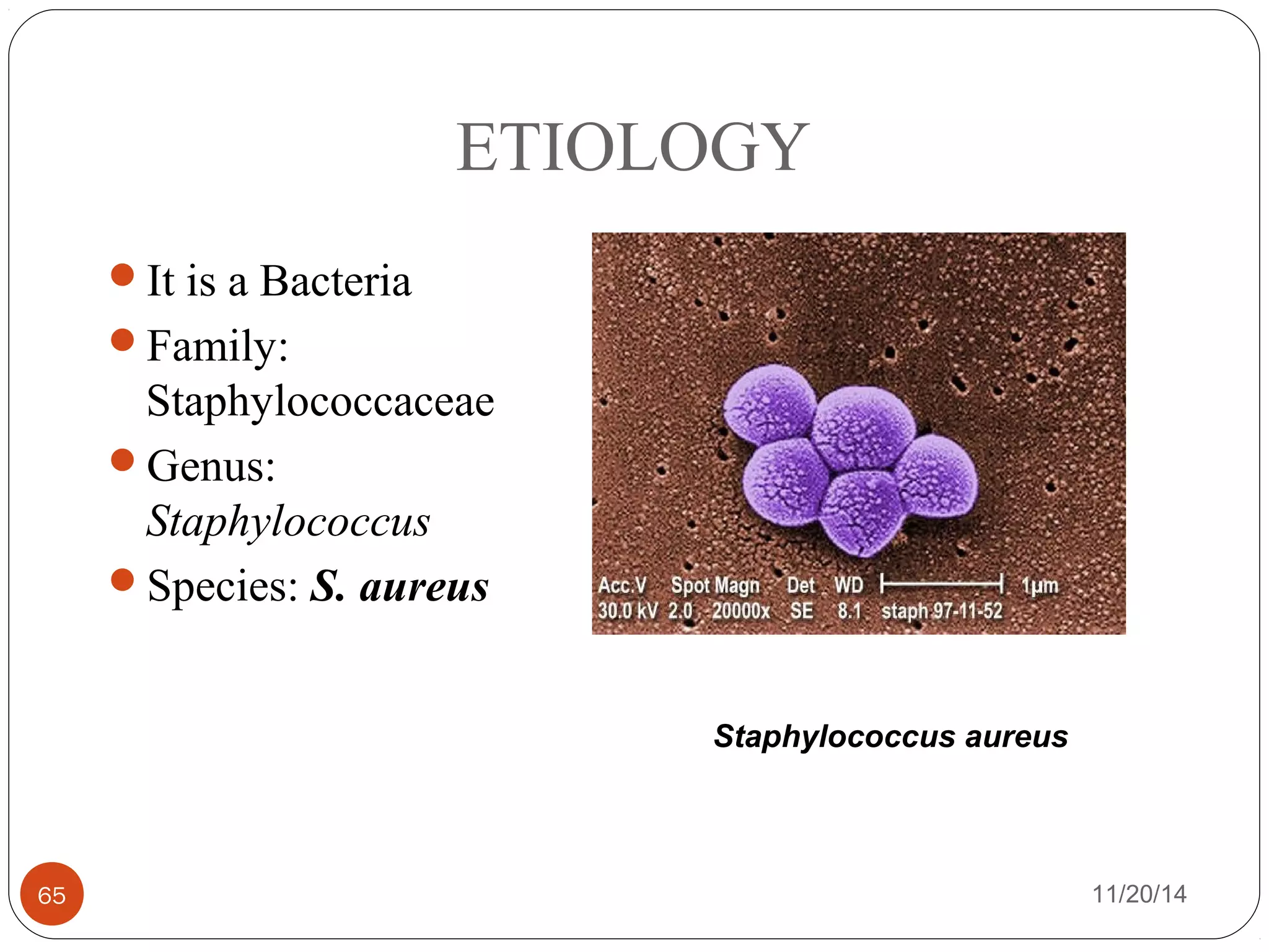ETIOLOGY 
It is a Bacteria 
Family: 
Staphylococcaceae 
Genus: 
Staphylococcus 
Species: S. aureus 
Staphylococcus aureus 
65 11/20/14 
 