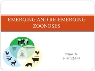 EMERGING AND RE-EMERGING 
Prajwal S. 
14-M.V.M-49 
ZOONOSES 
 