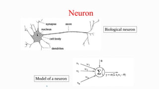 6
Neuron
Biological neuron
Model of a neuron
 