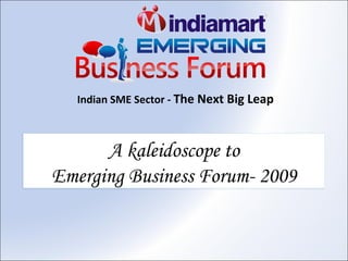 Indian SME Sector -  The Next Big Leap A kaleidoscope to Emerging Business Forum- 2009 