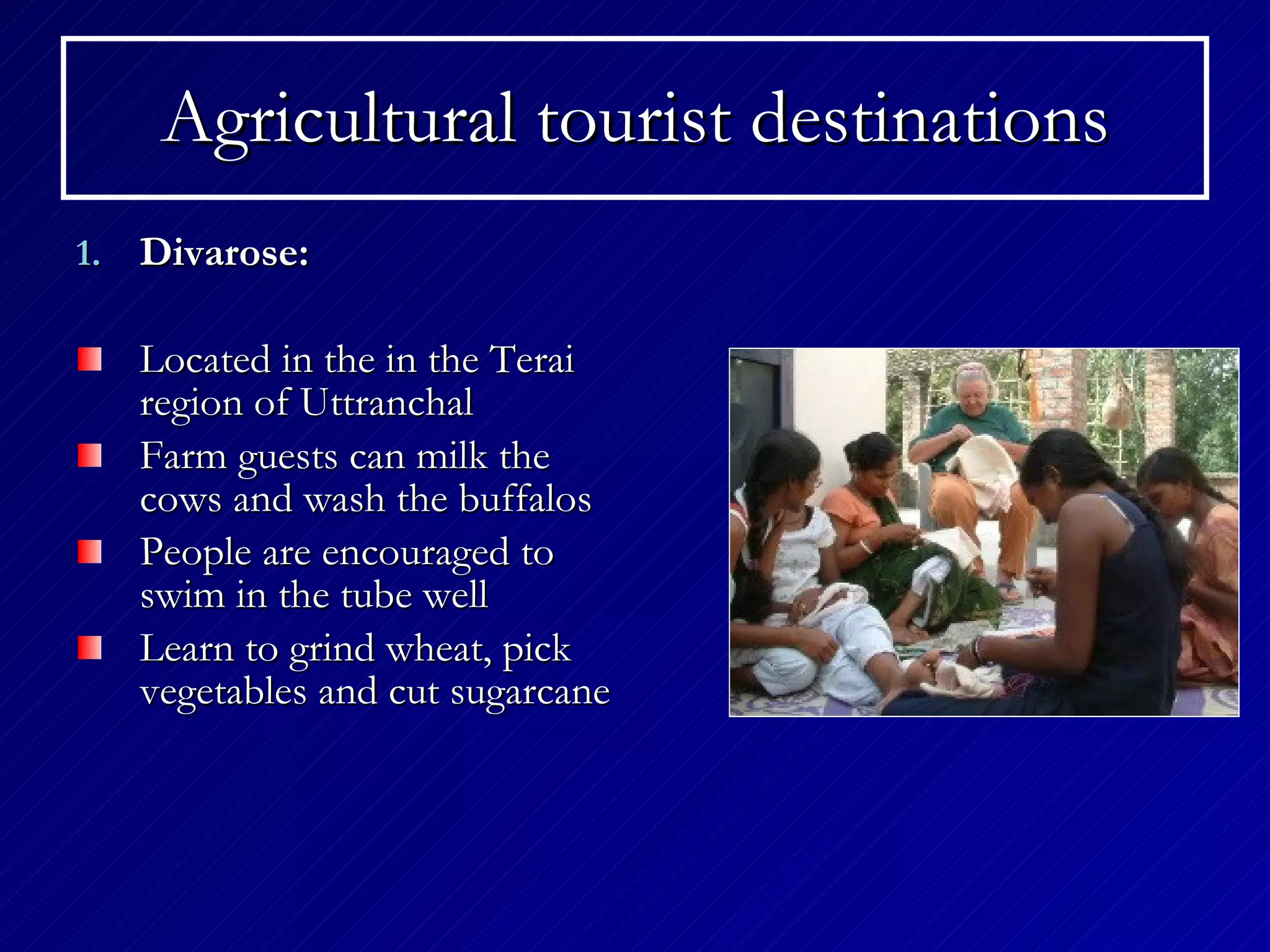 Agricultural tourist destinations Divarose : Located in the in the Terai region of Uttranchal   Farm guests can milk the cows and wash the buffalos   People are encouraged to swim in the tube well   Learn to grind wheat, pick vegetables and cut sugarcane   
