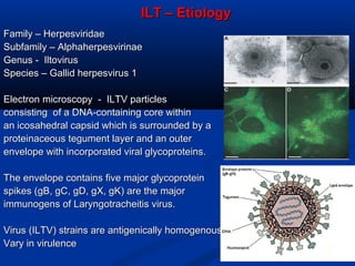 Emerging diseases in layer chicken | PPT