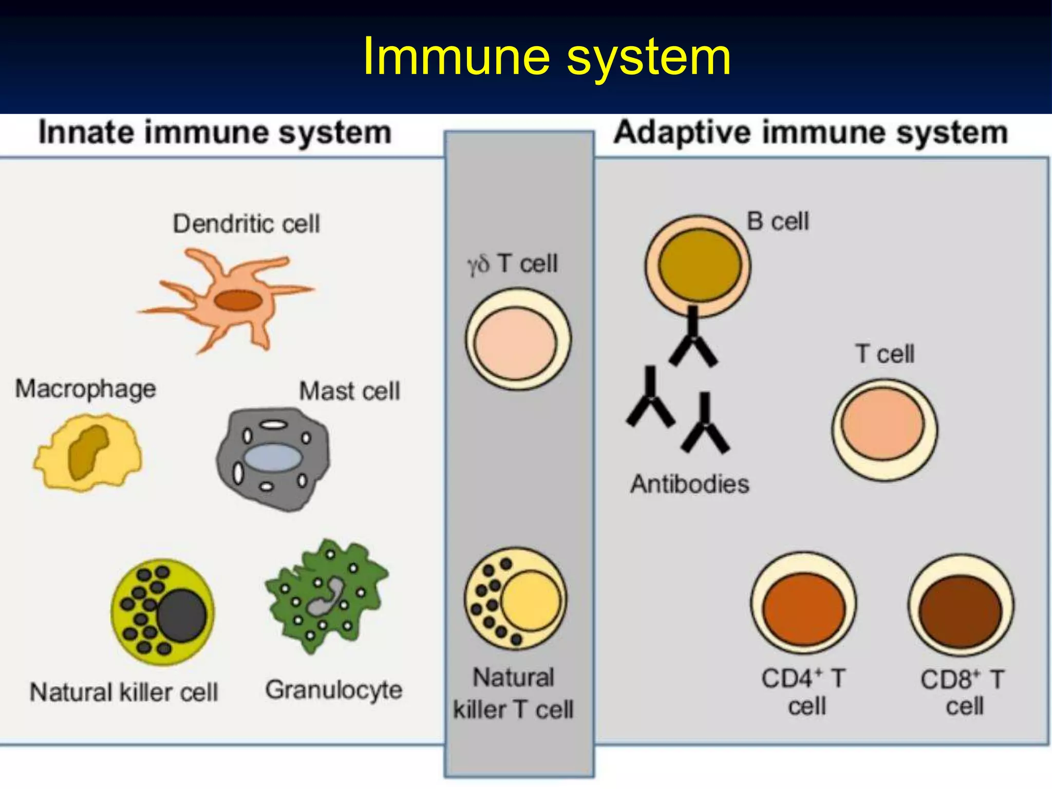 EMERGING INFECTION DISEASE.ppt