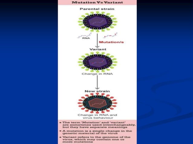 EMERGING INFECTION DISEASE.ppt