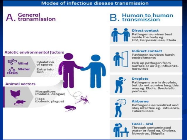 EMERGING INFECTION DISEASE.ppt