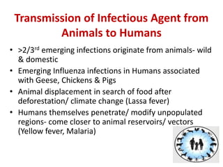 Transmission of Infectious Agent from
Animals to Humans
• >2/3rd emerging infections originate from animals- wild
& domestic
• Emerging Influenza infections in Humans associated
with Geese, Chickens & Pigs
• Animal displacement in search of food after
deforestation/ climate change (Lassa fever)
• Humans themselves penetrate/ modify unpopulated
regions- come closer to animal reservoirs/ vectors
(Yellow fever, Malaria)