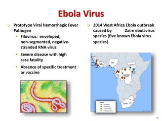 Ebola Virus
Prototype Viral Hemorrhagic Fever
Pathogen
Filovirus: enveloped,
non-segmented, negative-
stranded RNA virus
Severe disease with high
case fatality
Absence of specific treatment
or vaccine
2014 West Africa Ebola outbreak
caused by Zaire ebolavirus
species (five known Ebola virus
species)
34