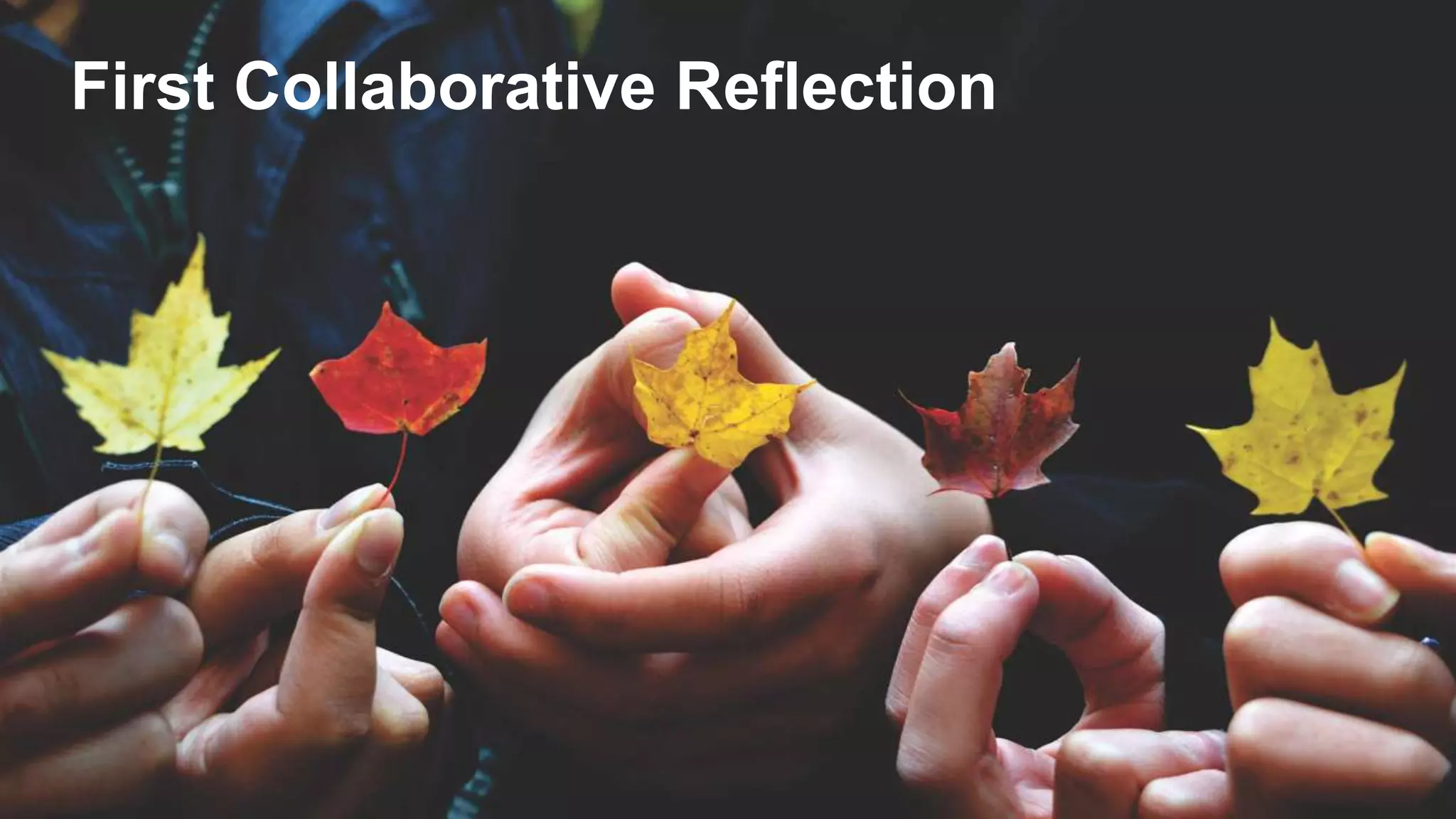 4
First Collaborative Reflection
 