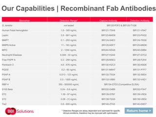 Our Capabilities | Recombinant Fab Antibodies
* Detection Ranges are assay dependent and optimised for specific
clinical conditions, therefore may be improved with optimisation
Biomarker Detection Range* Capture Antibody Detection Antibody
G. lamblia not tested BR120-P3F2 & BR120-T1G8
Human Fetal Hemoglobin 1.9 - 305 ng/mL BR121-T5H9 BR121-V5A7
Leptin 3.9 - 691 ng/mL BR123-M4D6 BR123-P4G2
MMP7 0.1 - 293 ng/mL BR124-S4E3 BR124-T6G8
MMP9 Active 11 - 183 ng/mL BR125-N5F7 BR125-M6D6
MPO 2 - 1200 ng/mL BR240-N5G6 BR240-D8B4
Neutrophil Elastase 0.008 - 33 ng/mL BR127-H2A4 BR127-G7C2
Free PAPP A 0.3 - 299 ng/mL BR129-M5E3 BR129-F2H4
Pentraxin 3 4.6 - 876 ng/mL BR130-H2C3 BR130-K6D6
PGDS 0.2 - 85 ng/mL BR131-M6H7 BR131-P7F7
PSAP A 0.013 - 123 ng/mL BR132-T5G4 BR132-S6E4
PSAP B 0.3 - 1500 ng/mL BR133-V6B5 BR133-V4D1
RBP 4 350 - 500000 ng/mL BR134-Z7D3 (Competitive ELISA)
S100 Beta 0.04 - 5.6 ng/mL BR332-G4B9 BR332-F5H7
ST2 1.39 - 97 ng/mL BR139-S7B7 BR139-V8D4
ST2 0.08 - 31 ng/mL BR139-T3G5 BR139-V8D4
Tie2 0.8 - 600 ng/mL BR140-Z7A5 BR140-D9D7
Return home >
 
