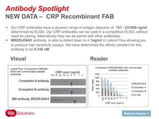 Antibody Spotlight
NEW DATA – CRP Recombinant FAB
Return home >
0
200
400
600
800
1000
1200
100
75
50
25
10
5
2
1
0
Peakheight
CRP conc (ng/mL)
Comparison of BR228-D4A3 with commercially
available antibodies
BR228-D4A3
Competitor A
Competitor B
Flu Fab
Reader
CRP conc (ng/ml)
100 75 50 25 10 5 2 1 0
BBI antibody, BR228-D4A3
Competitor B antibody
Competitor A antibody
Visual
Lateral Flow: Comparison of BR228-
D4A3 with commercially available
antibodies
 Our CRP antibodies have a dynamic range of antigen detection of 151 - 231000 ng/ml
determined by ELISA. Our CRP antibodies can be used in a competitive ELISA, without
need for pairing. Alternatively they can be paired with other antibodies.
 BR228-D4A3 antibody, is able to detect down to < 1ng/ml in Lateral Flow allowing you
to produce high sensitivity assays. We have determined the affinity constant for this
antibody to be 0.138 nM.
 