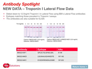 Antibody Spotlight
NEW DATA – Troponin I Lateral Flow Data
 Detect down to 12.5ng/ml Troponin I in Lateral Flow using BBI’s Lateral Flow antibodies
 Epitopes matching those prevalent in Troponin I assays
 The antibodies are also suitable for ELISA
Return home >
Capture: BM322-K5F1 & BM322-N4D1 (0.8 mg/ml)
Detection: BM322-M4E5
TnI (ng/ml): 0 12.5 25 50 100 200 0 12.5 25 50 100 200
Capture: BM322-K5F1 (0.8 mg/ml)
Detection: BM322-M4E5
Antibody Epitope AAs
BM322-K5F1 QPLELTGLGFAELQDL 81-96
BM322-M4E5 LDLRAHLKQVKKEDTE 167-182
BM322-N4D1 EVGDWRKNIDALSGME 187-202
 