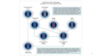 Emerging and reemerging infectious diseases | PPTX