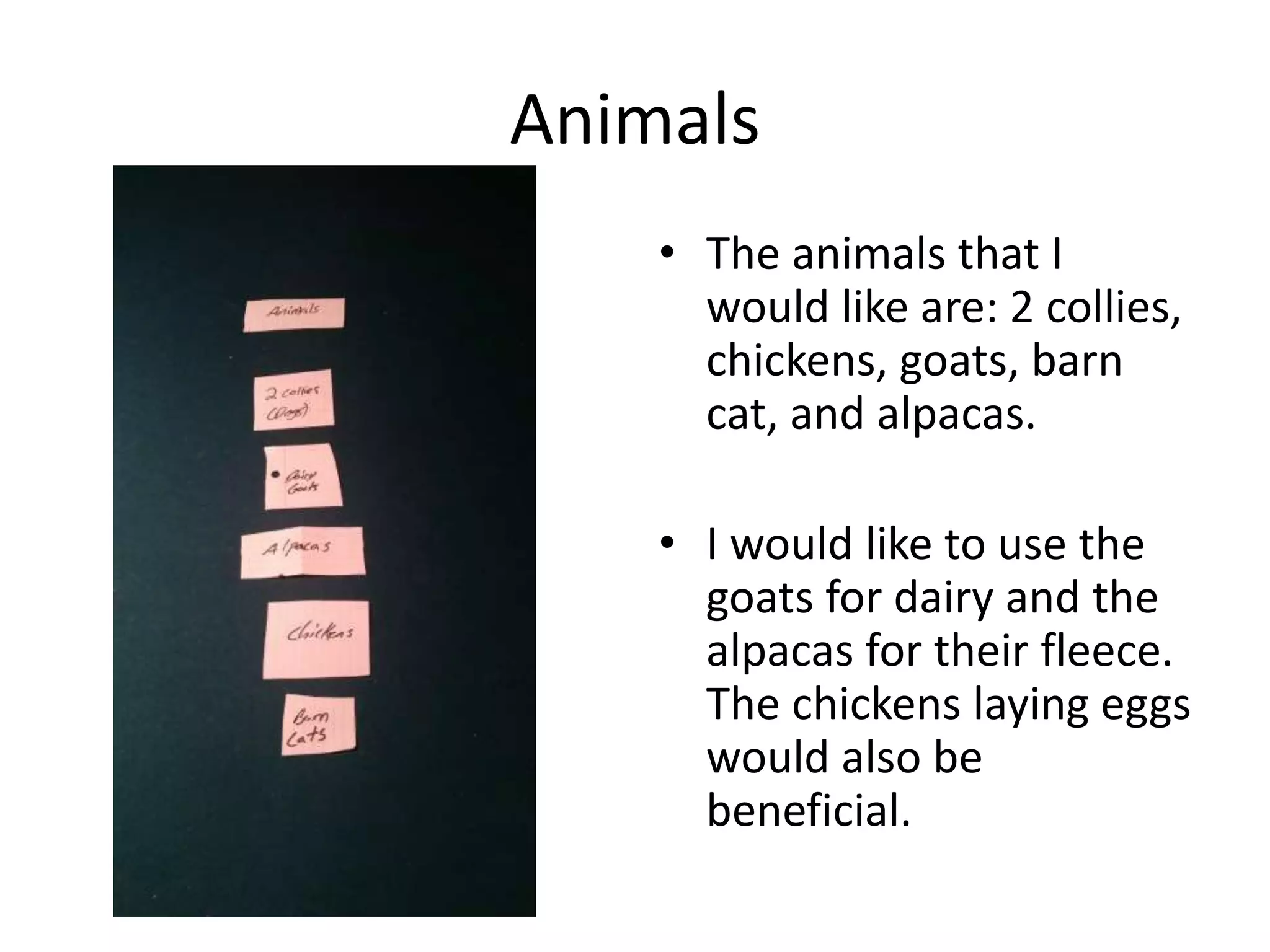 Animals
• The animals that I
would like are: 2 collies,
chickens, goats, barn
cat, and alpacas.
• I would like to use the
goats for dairy and the
alpacas for their fleece.
The chickens laying eggs
would also be
beneficial.
 