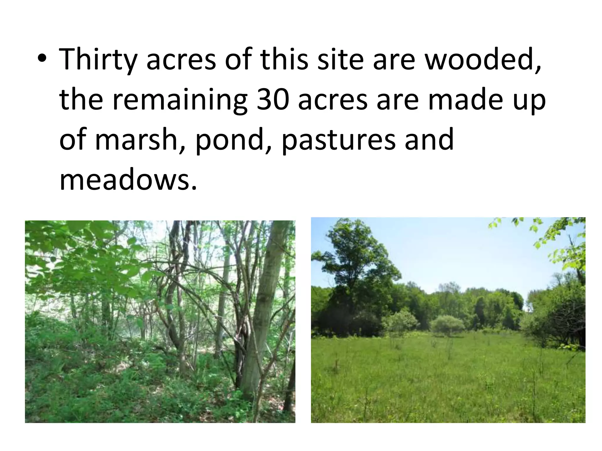 • Thirty acres of this site are wooded,
the remaining 30 acres are made up
of marsh, pond, pastures and
meadows.
 